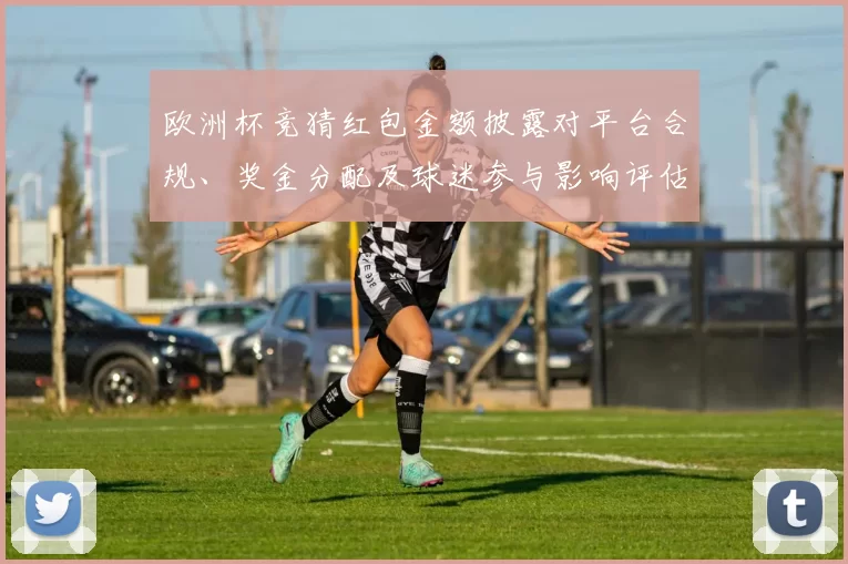 欧洲杯竞猜红包金额披露对平台合规、奖金分配及球迷参与影响评估