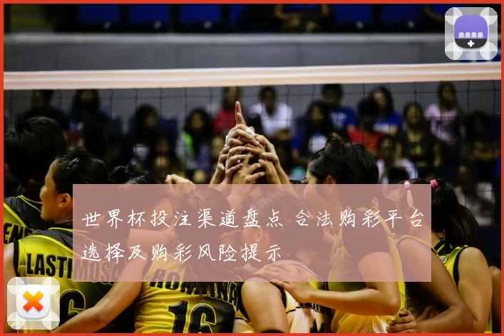 世界杯投注渠道盘点 合法购彩平台选择及购彩风险提示