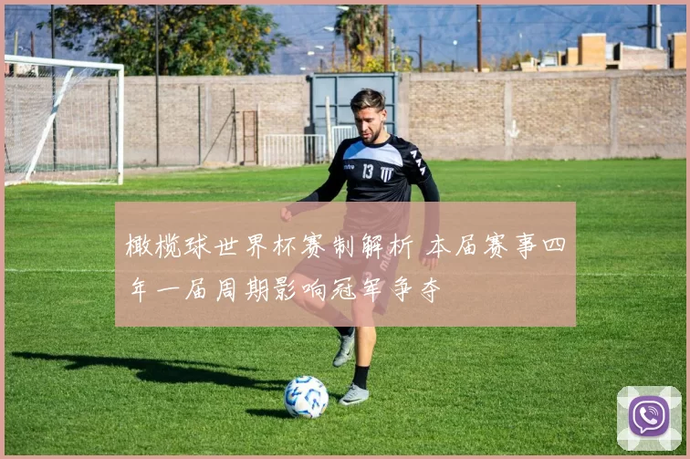 橄榄球世界杯赛制解析 本届赛事四年一届周期影响冠军争夺