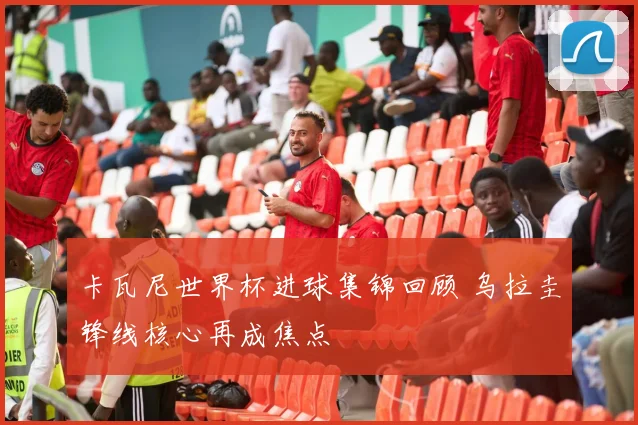 卡瓦尼世界杯进球集锦回顾 乌拉圭锋线核心再成焦点