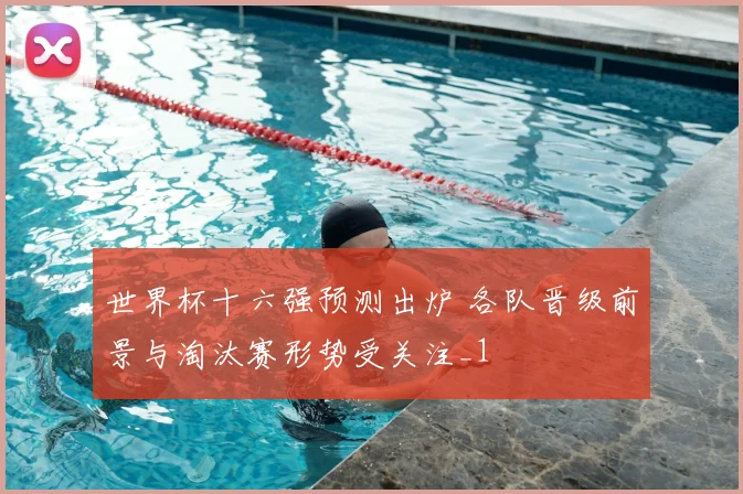 世界杯十六强预测出炉 各队晋级前景与淘汰赛形势受关注_1