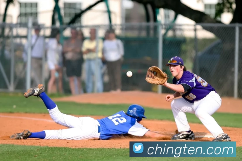 kb体育平台生态图